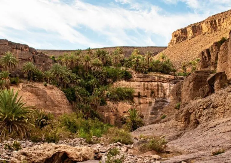 Oasis dans l'atlas marocain, Oase in de Marokkaanse Atlas