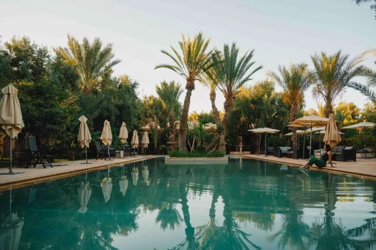 Piscine et palmiers