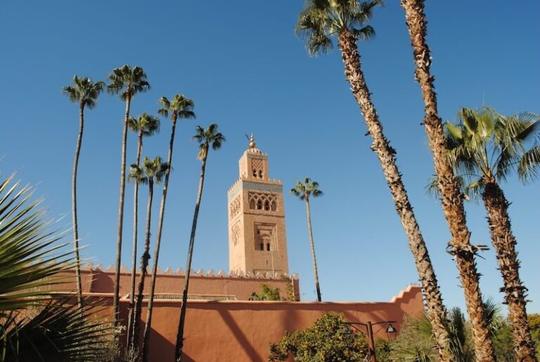 la koutoubia à marrakesh palmier