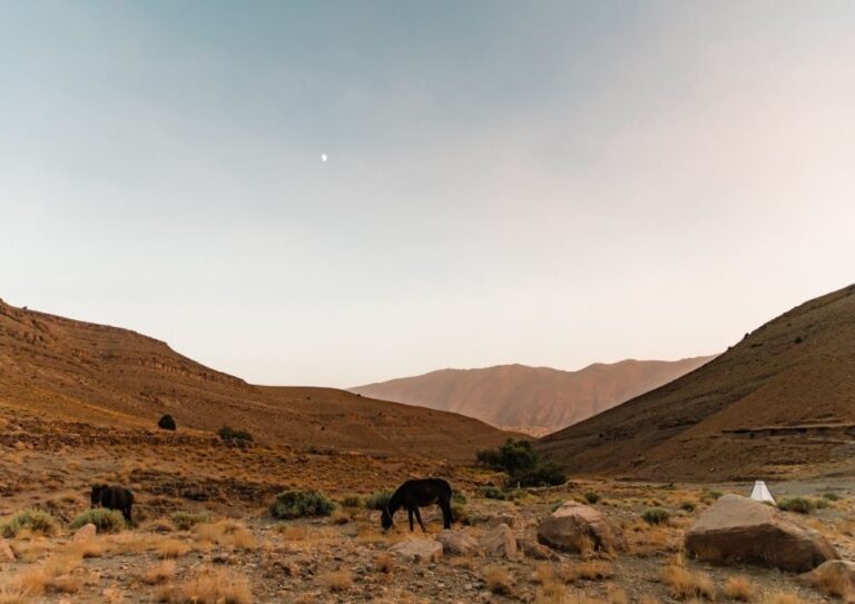 Paysage de l'anti Atlas au Maroc