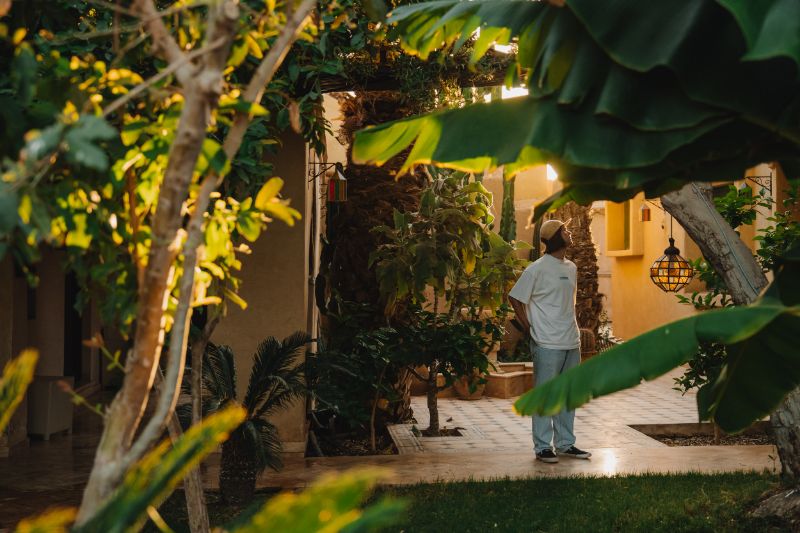 Homme entouré d'arbres